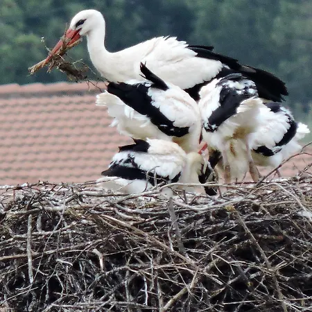 بيت للعطل La Covatilla Iii La Hoya (Salamanca)