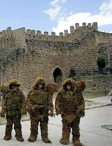 Hébergement de vacances La Covatilla Iii