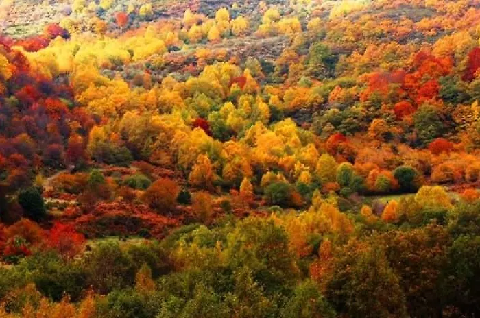 Hébergement de vacances La Covatilla Iii La Hoya (Salamanca)