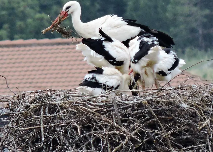 Hébergement de vacances La Covatilla Iii La Hoya (Salamanca)