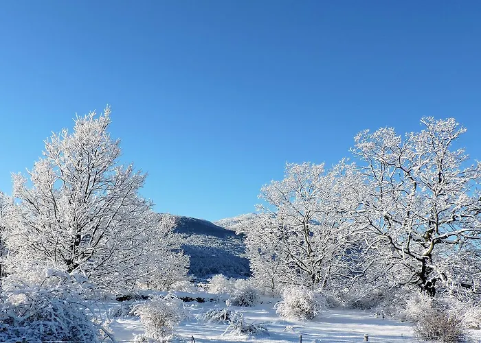 Hébergement de vacances La Covatilla Iii *